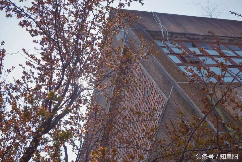 阜阳老庙纺织厂,阜阳针织厂的现状