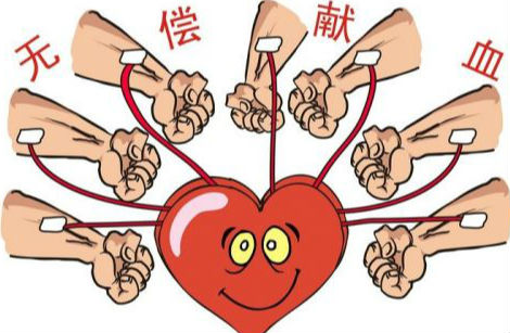 献血后出虚汗怎么食物调理,献血血脂高怎么调理