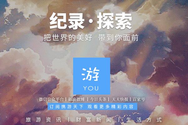 世界杯决赛潘帕斯雄鹰高卢,世界杯潘帕斯进球