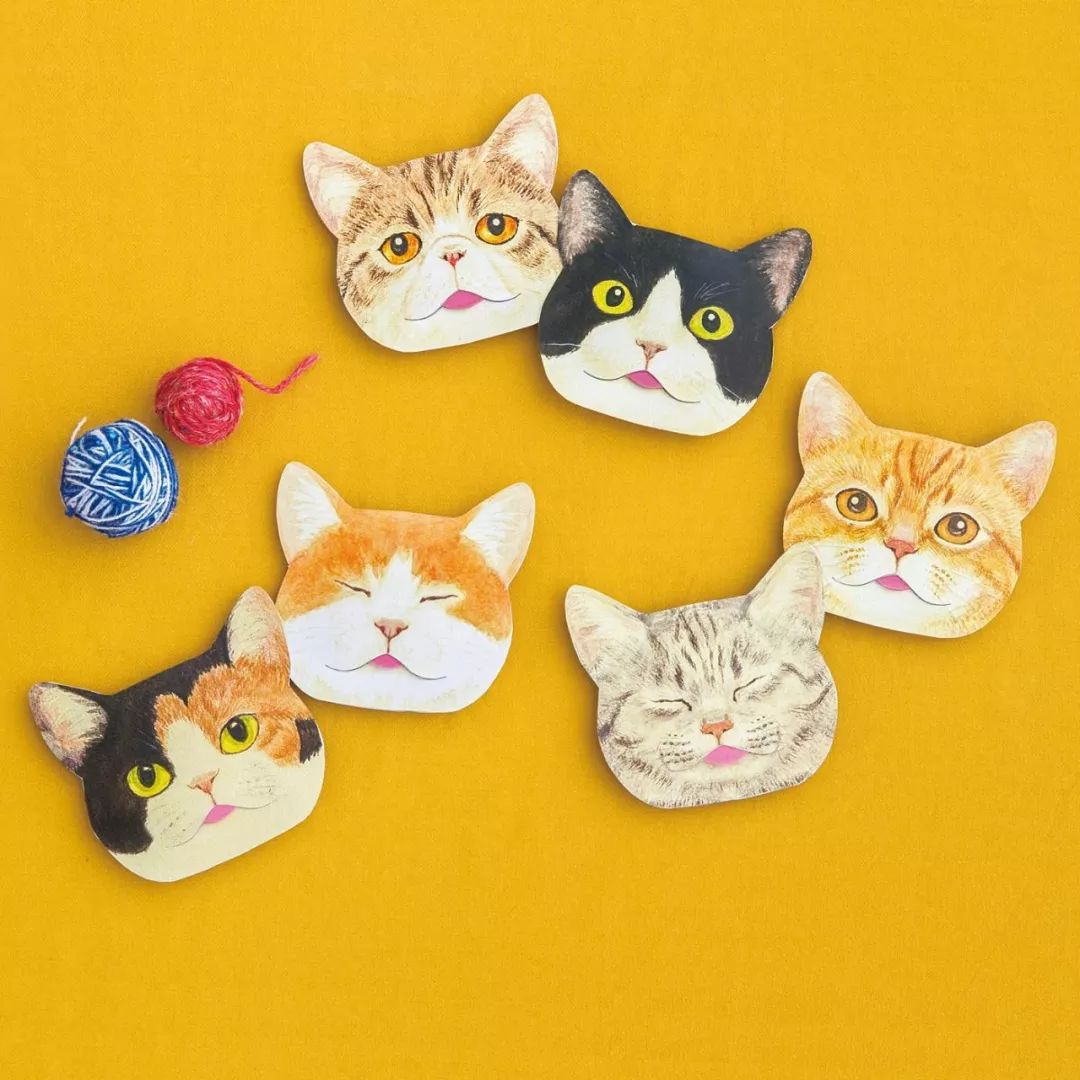 放开我的钱包啊！令猫奴闻风丧胆的种草大会！