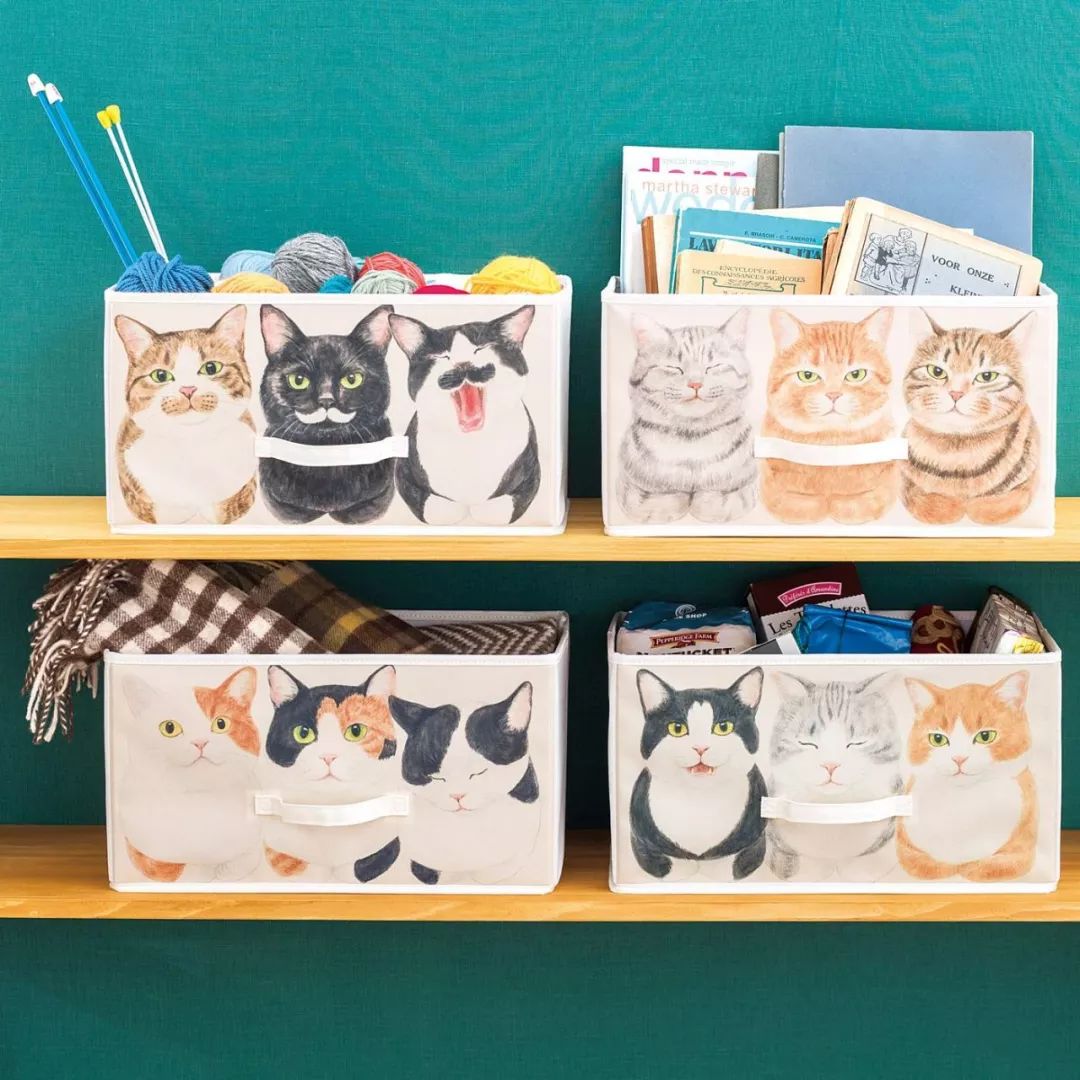 放开我的钱包啊！令猫奴闻风丧胆的种草大会！