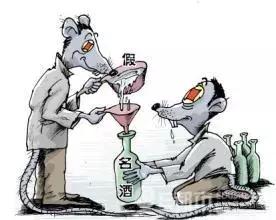 奔富假酒是怎么被发现的,澳洲奔富是山寨酒么