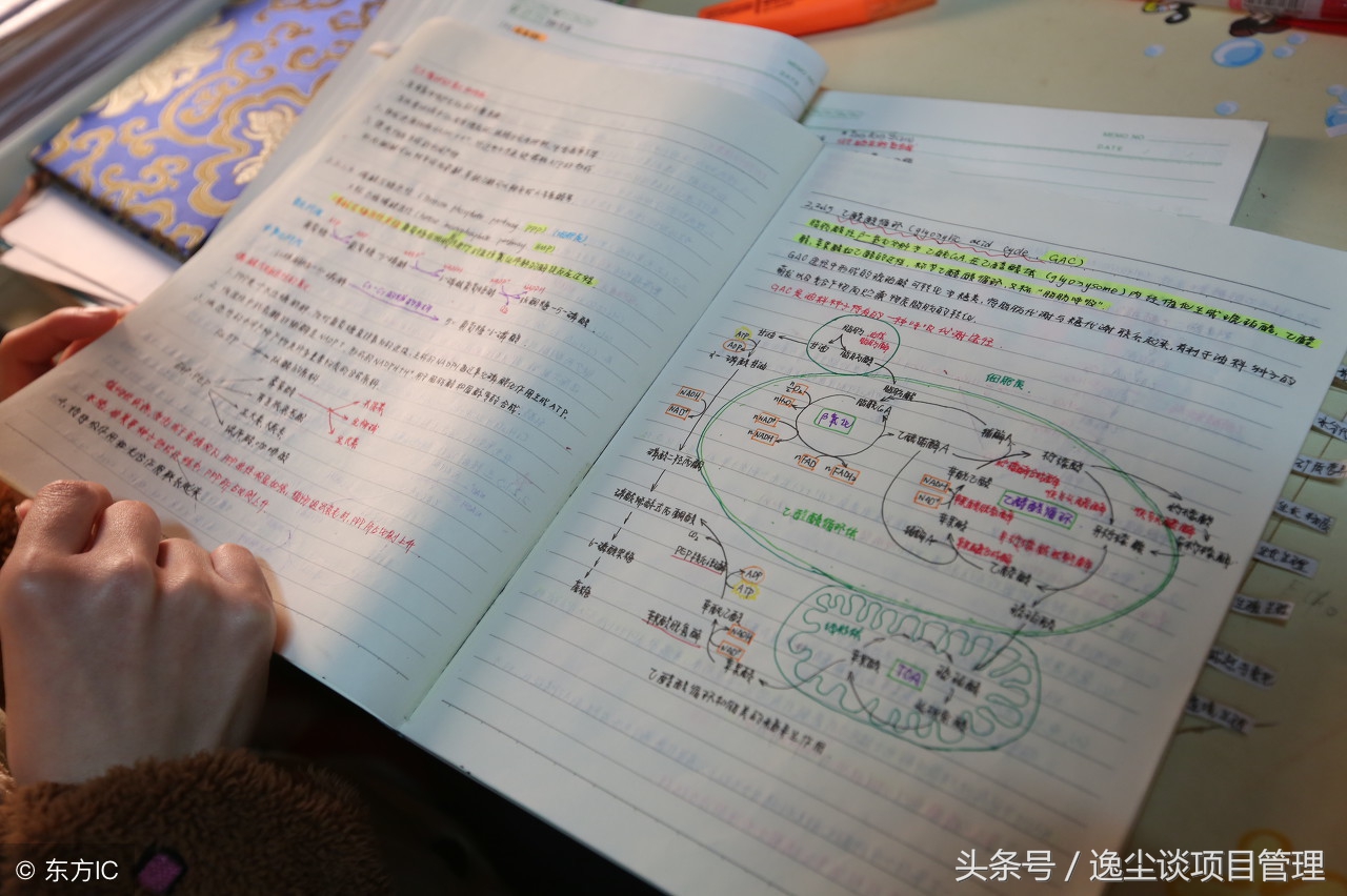 pmp考试难不难如何备考更高效,pmp考试通过率高为什么含金量也高