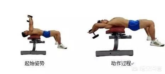 翼状肩的危害与矫正,翼状肩的快速有效改善动作