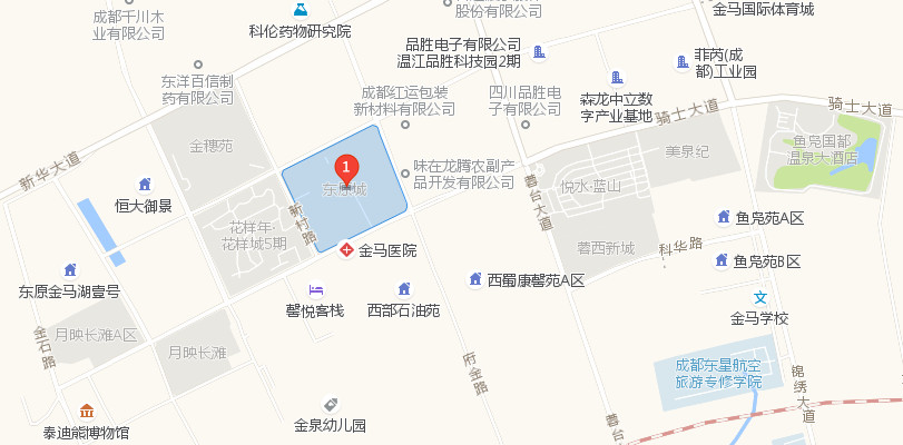 温江东原城二手房,东原城温江价格