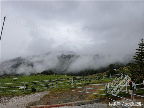 悠哉的沙巴行空气清新重要的是接机仅需1元