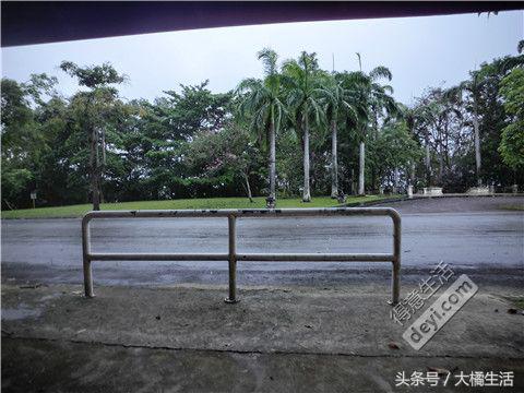 悠哉的沙巴行空气清新重要的是接机仅需1元