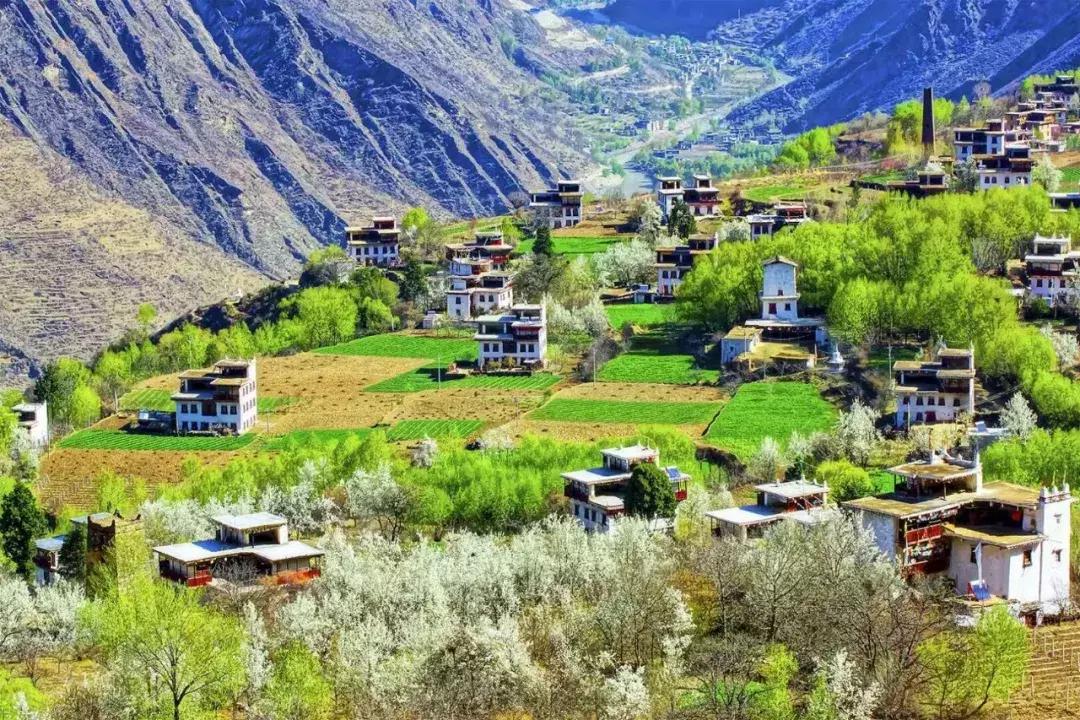 再上5天班，就放小长假！四川哪里*光春**诱人？靠谱实测甩给你