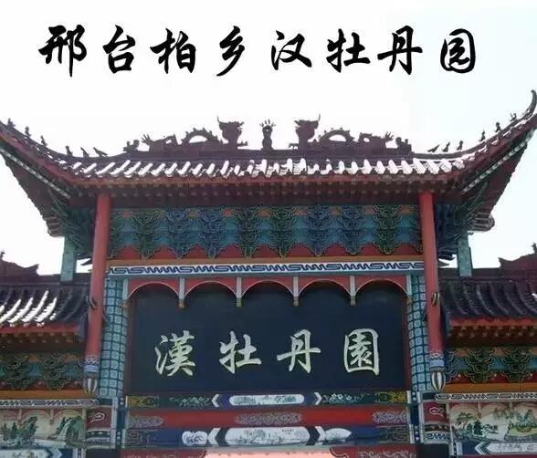 洛阳旅游攻略三天两夜赏牡丹,赏花何须去洛阳天下牡丹出襄阳