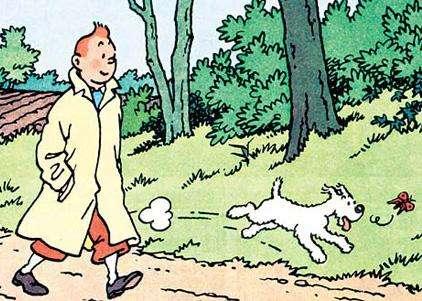 德布劳内丁丁历险记采访,德布劳内丁丁历险记