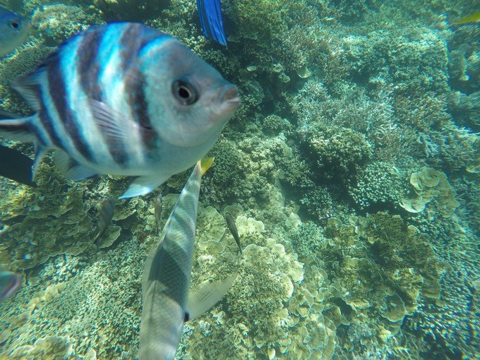 宝贝喜欢小金鱼,宝贝喜欢玩水