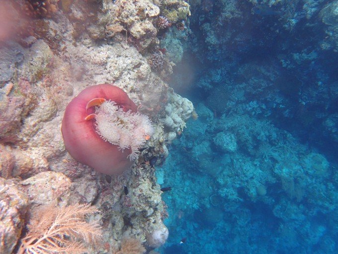 宝贝喜欢小金鱼,宝贝喜欢玩水