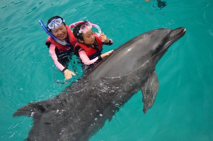 宝贝喜欢小金鱼,宝贝喜欢玩水