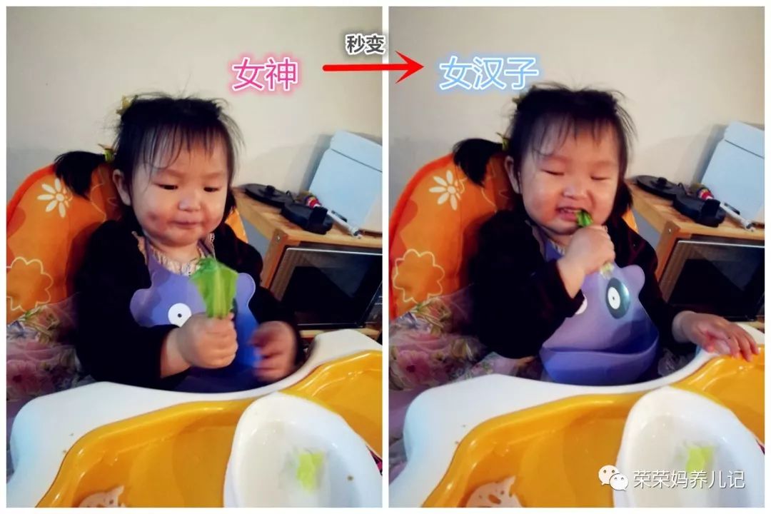 春暖花开别人出去春游,春暖花开溜娃的好地方