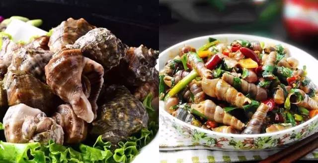 贝壳类海鲜最好吃有哪些,18款海鲜菜品分享给大家