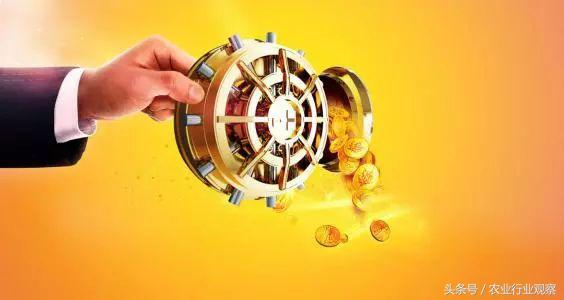 创业式商业模式,私家菜园盈利模式