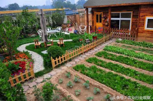 生态菜园盈利模式,私家菜园创业计划书