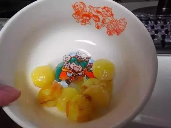 宠物龟下了蛋怎么办,宠物龟怎么避免吃自己的蛋