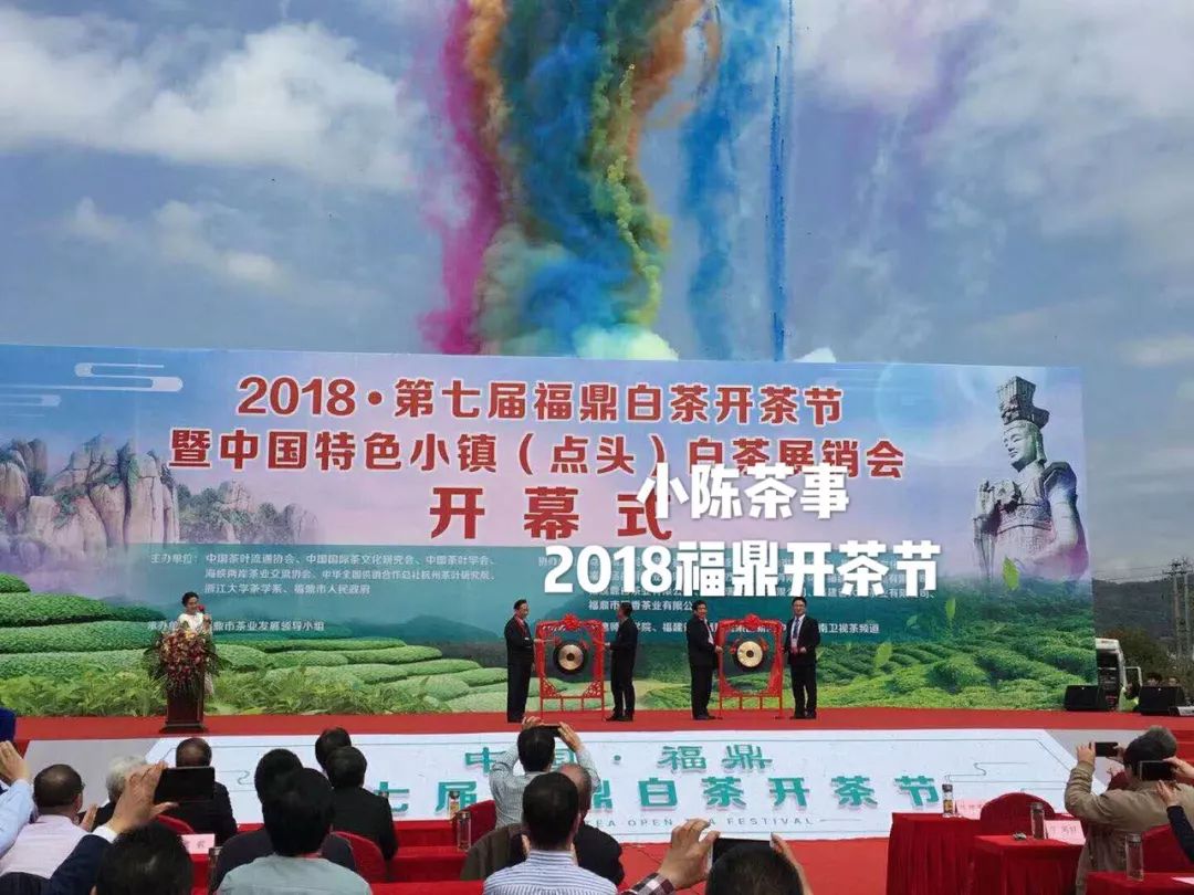 傍大师，认品牌，这些不懂茶的白茶掌柜有点“飘”了！