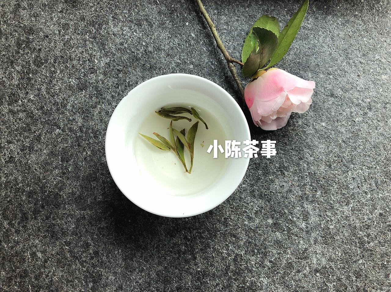 央视点评福鼎白茶,福鼎白茶央视投放时间