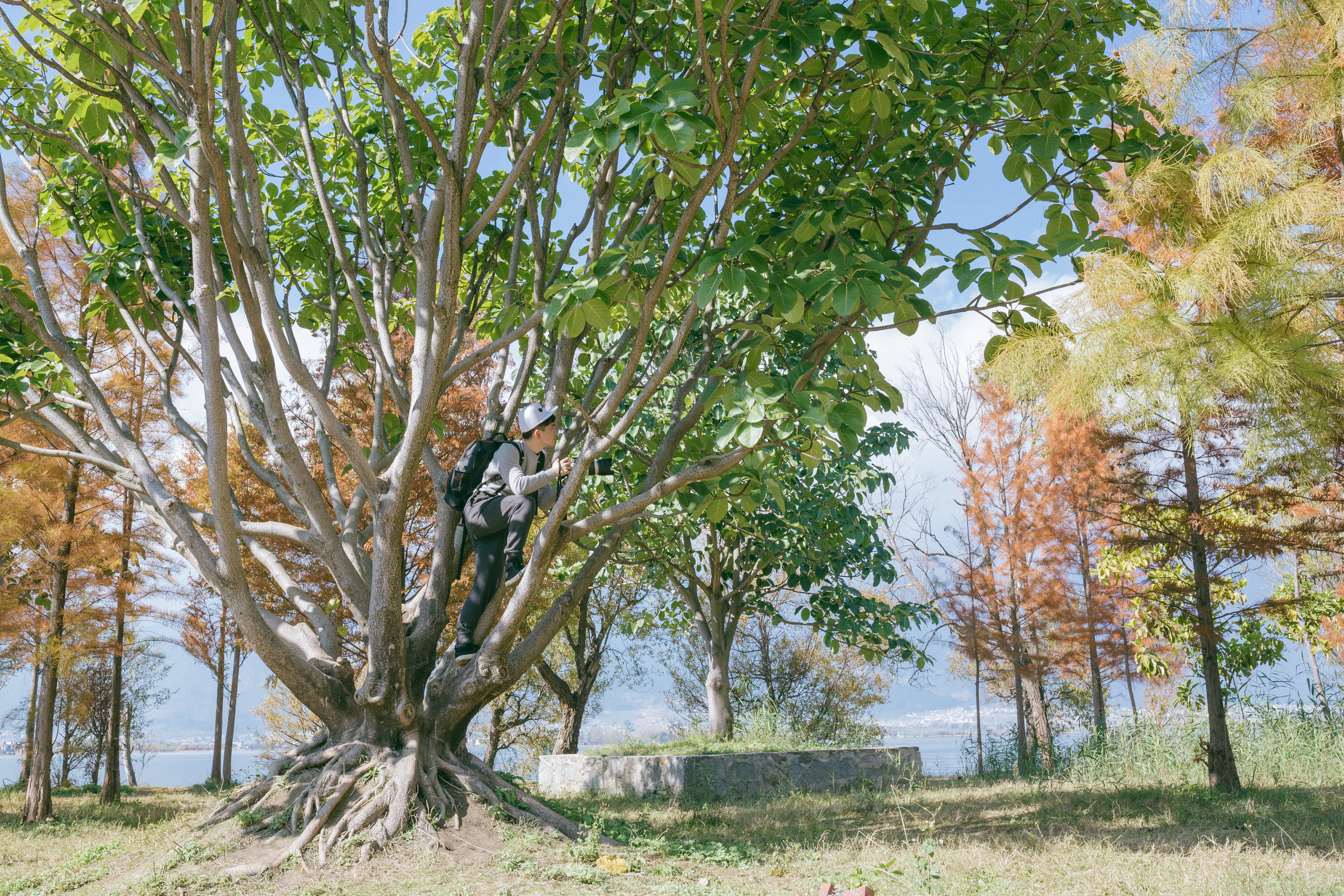 洱海边的特别拍照地,洱海的文艺地