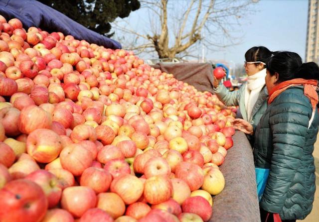 在县城开着小货车卖水果真实情况,小货车卖水果的真实经历