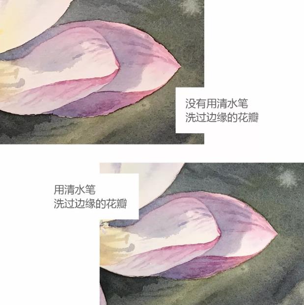 水彩夏天清新森系初学者荷花,水彩荷花画教程入门