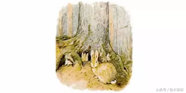 复活节兔子绘本,复活节绘本