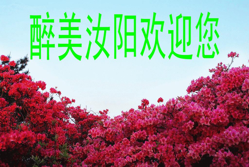 您好，我是汝阳，向全世界发出邀请……