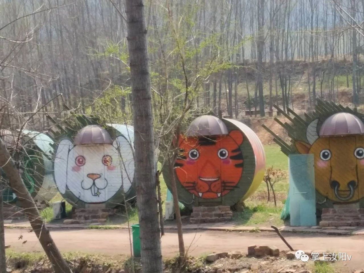 您好，我是汝阳，向全世界发出邀请……