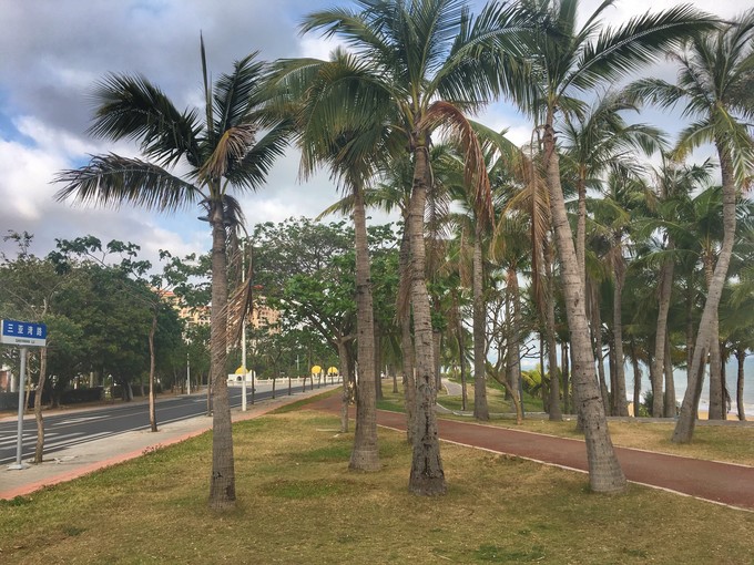 一路“王”下去----在三亚浪，把开会玩成度假！3