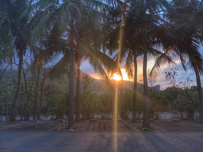 一路“王”下去----在三亚浪，把开会玩成度假！3