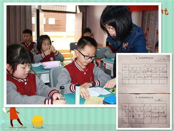 小学科学实验教学培训,小学科学暑期培训