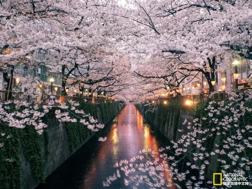 春天的小手儿热情呼唤，这14个好地方等你去浪！