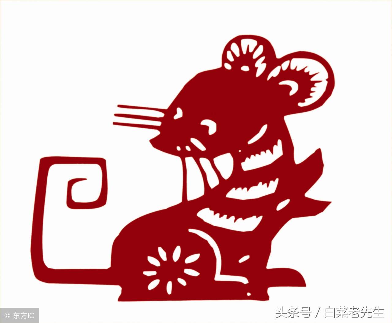 梦见出现12生肖的样子,做梦梦见自己的本命生肖好吗