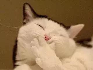 你的微信名暴露了什么,你的微信名暴露了你的阶层