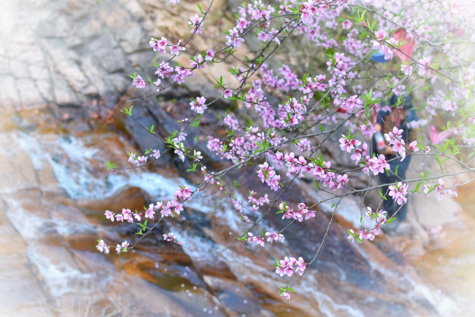 山灵水韵，德才兼备，这座城市的*光春**了不起！