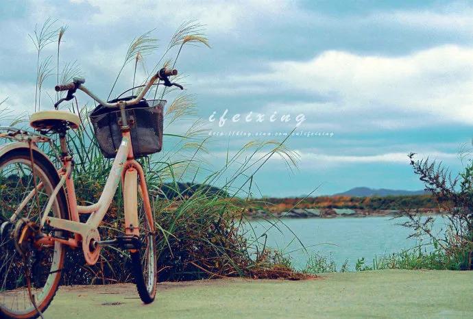 4岁小朋友说要离家出走怎么应对,成年孩子离家出走报警后怎么处理