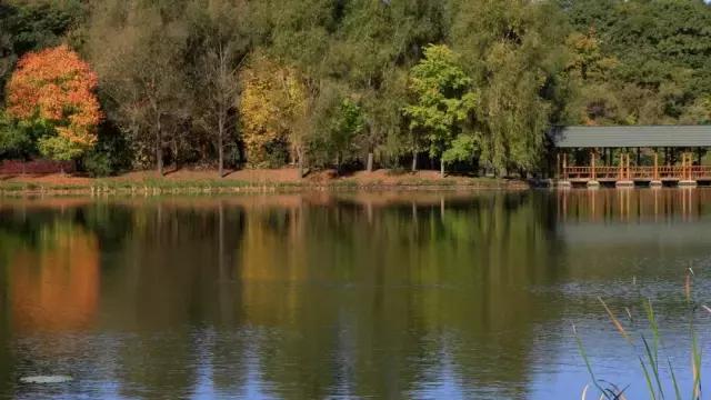 瀵逛笉璧锋垜鍔濅綘鍒潵骞垮窞,瀵逛笉璧锋垜鍔濅綘鍒潵娣卞湷