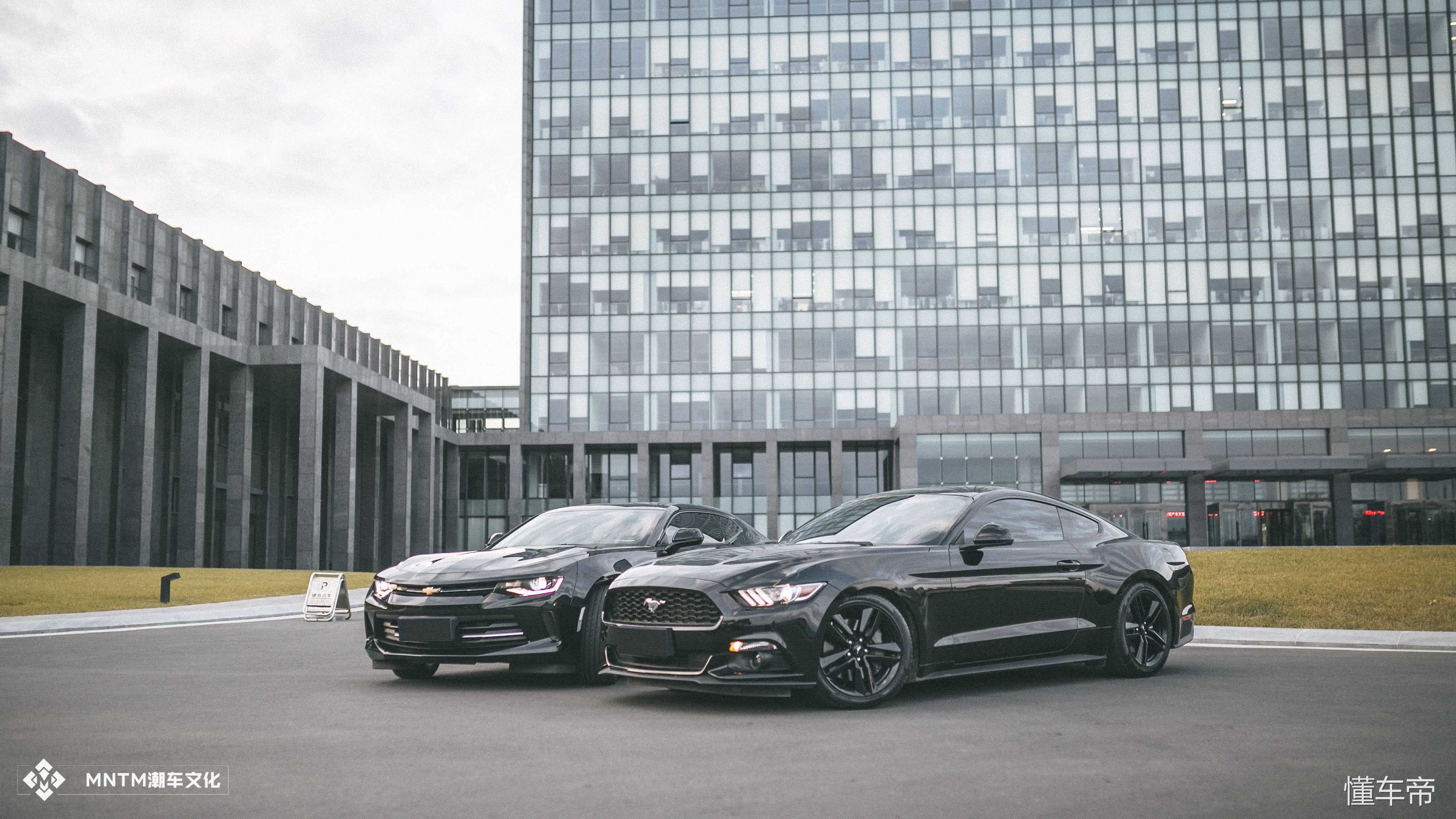 0-1科迈罗对比野马,科迈罗和野马的对比照