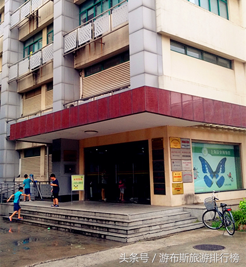 上海昆虫博物馆蜘蛛,上海昆虫博物馆珍藏馆