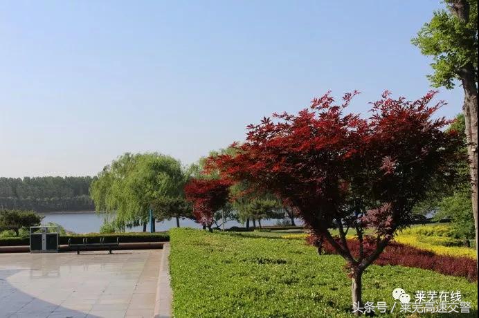 清明游莱芜莲花山,莱芜旅游十大必去景点