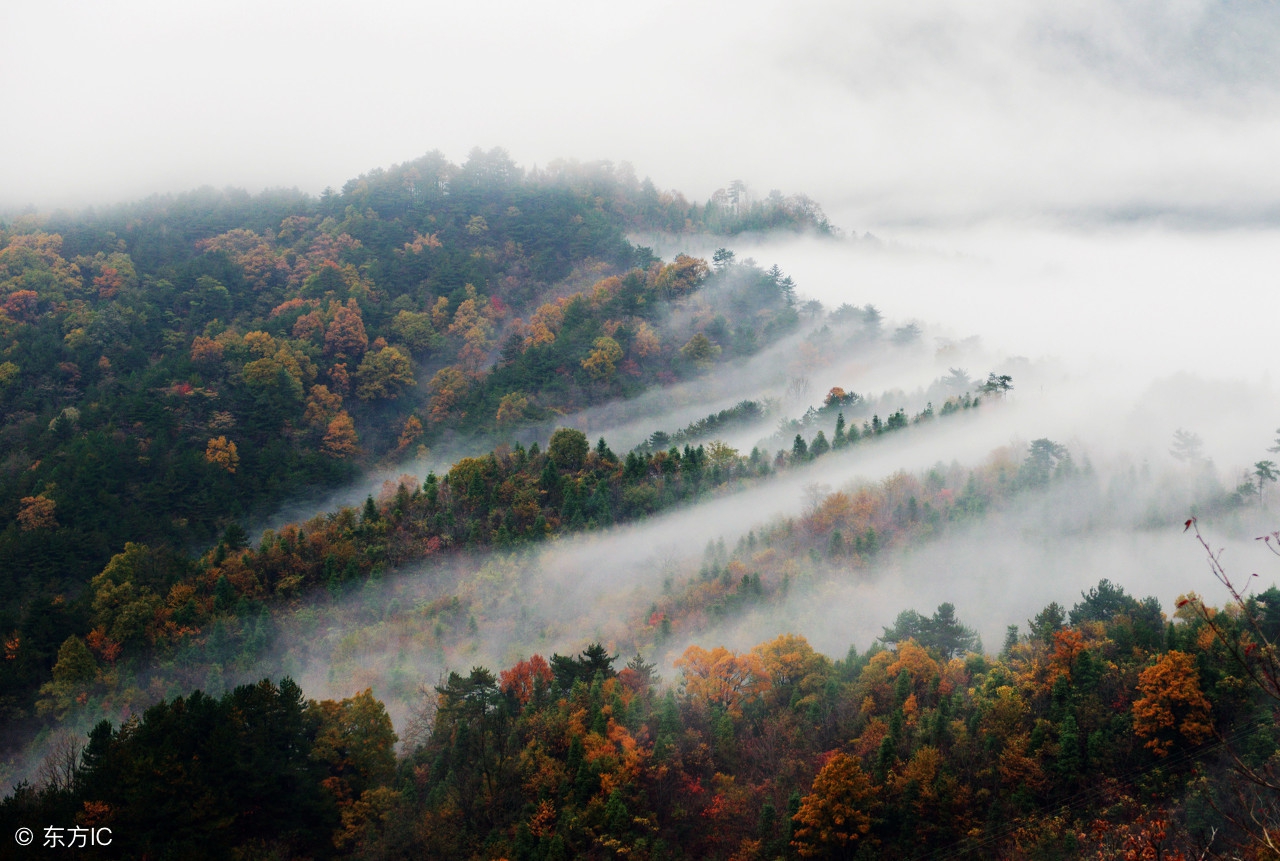安徽最宜居的城市排名,安徽最美的城市芜湖