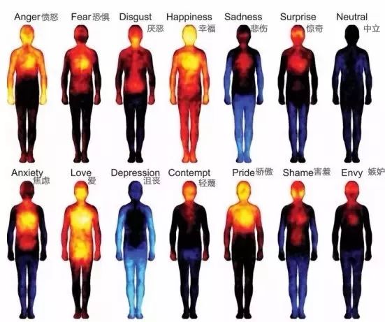 生气对女性的危害致癌,过度发脾气会引起哪些疾病