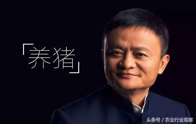 农业跨界者的风向标在哪里,农业跨界思维