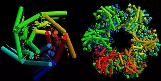 冻在冰里的鱼复活,液氮冻住活鱼24小时还能复活