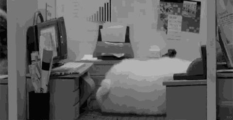 当有人说女生不该化妆,女生适合学cs