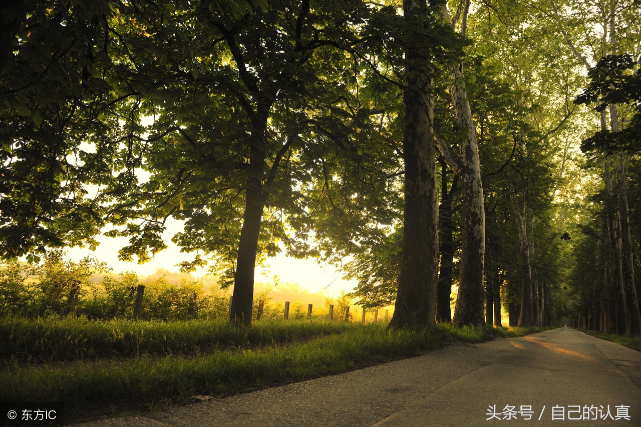 校园风景作文400字四年级,校园一处风景的作文400字