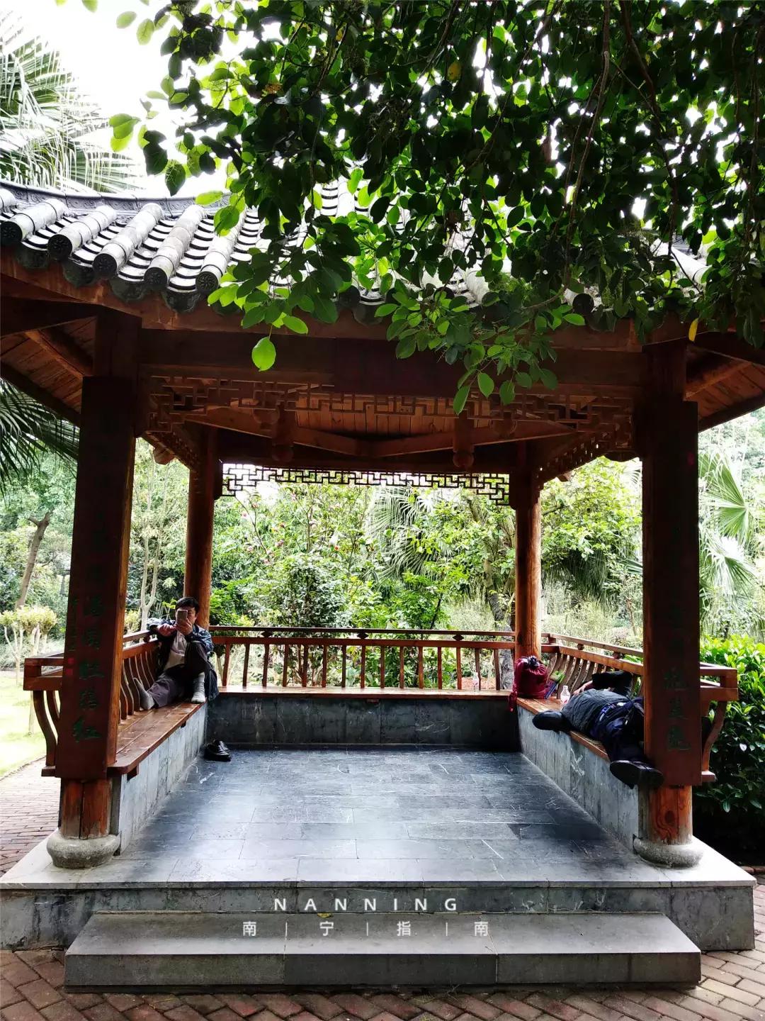 金花茶公园在什么地方,金花茶公园最新消息