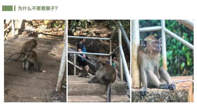 兰卡威六天游攻略,兰卡威六日游玩